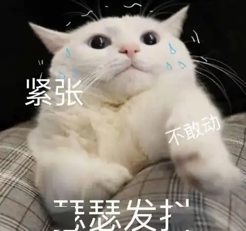  表情包嘘,我来偷哥哥的心了