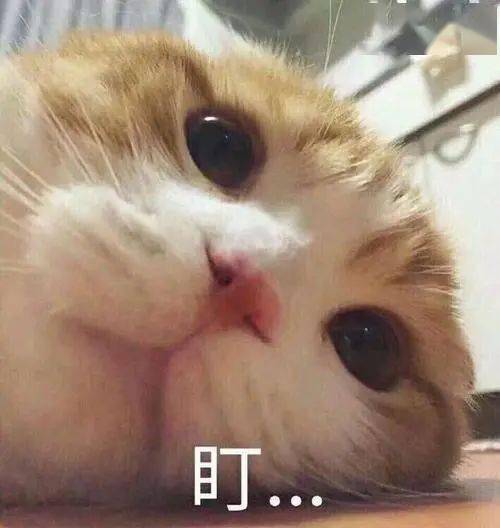  7178元㎡起90的柳州人都逃不过柳东这个楼盘的真香定律