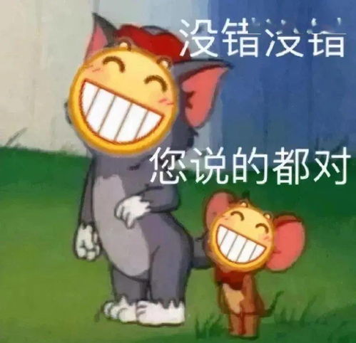  日常热门沙雕搞笑表情