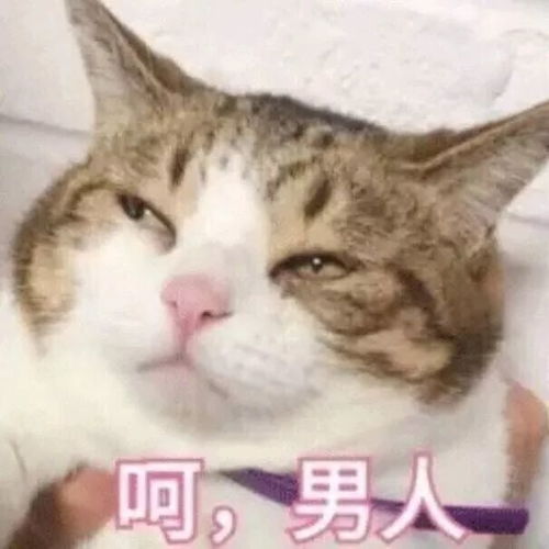 这部新剧告诉我们,男人都是大猪蹄 这部新剧告诉我们,男人都是大猪蹄