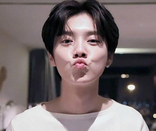 鹿晗深夜包大巴送粉丝回家,其中细节彰显艺人品性 鹿晗深夜包大巴送粉丝回家,其中细节彰显艺人品性