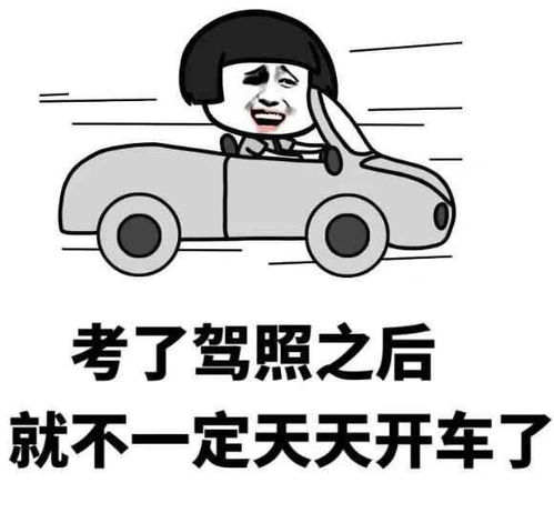 爱车的程序员世泉的全部个人中心易车