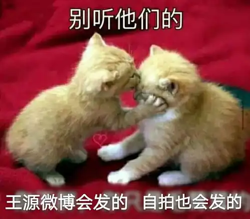 王源做事总是口是心非,惹得粉丝又爱又恨搜狐娱乐搜狐网 王源做事总是口是心非,惹得粉丝又爱又恨搜狐娱乐搜狐网