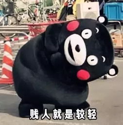  肥胖的人生到底该如何应对