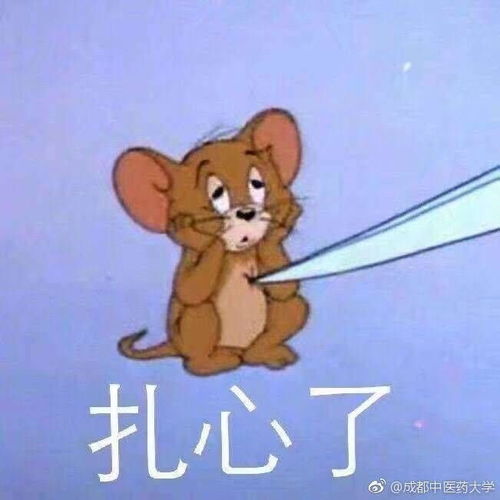  四六级吐槽朋友圈的段子手们各就各位,预备