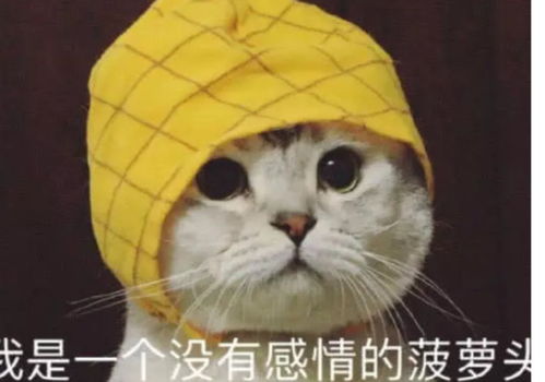  套路满满的表情包,让你防不胜防网友这狗粮有点烫口