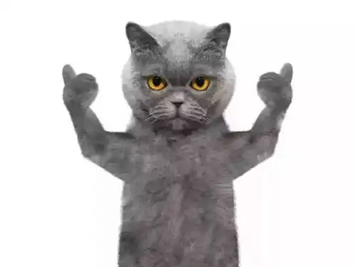 黑龙江公开招聘教师94人,只要你符合条件,就来吧 黑龙江公开招聘教师94人,只要你符合条件,就来吧