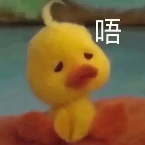 表情包哪里来的鸭子