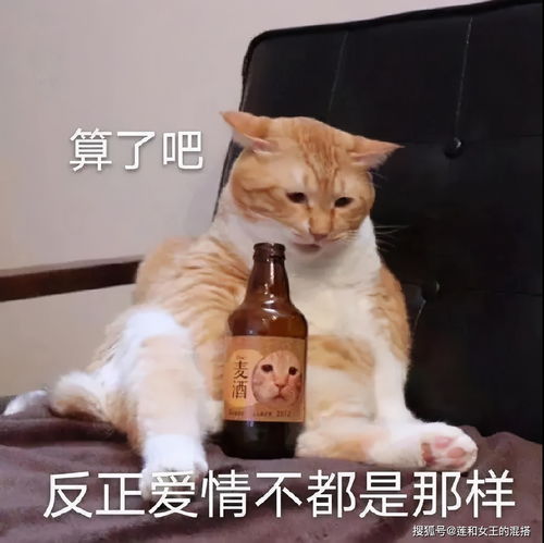  学会这些技巧,我也是恋爱小天才了