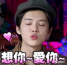  鹿晗怼卓伟给你嘴上锁其实他一直耿直又敢说