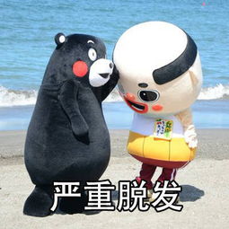 中年少女表情包下载中年少女的特征表情包无水印版极光下载站