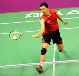  2010年巴黎世界羽毛球锦标赛精彩图片组图1