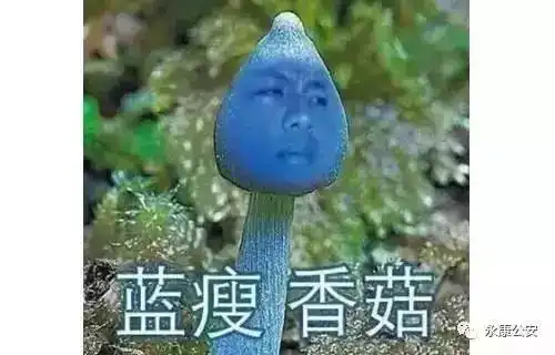 明明是个永康人却谎称自己是广西人,他究竟想要隐瞒什么 明明是个永康人却谎称自己是广西人,他究竟想要隐瞒什么