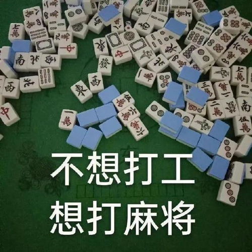  新一批表情包到货了