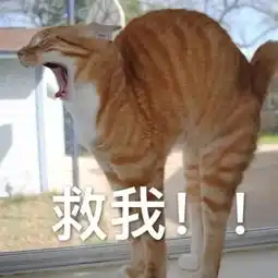 400元一次男子在金华招嫖找小姐,结果自己报了警 400元一次男子在金华招嫖找小姐,结果自己报了警