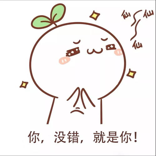 五六七表情包安排
