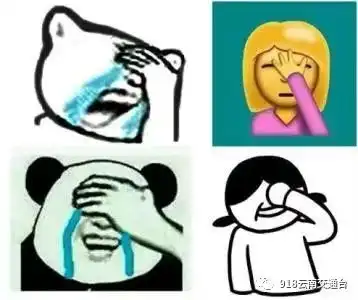 捂脸表情包什么意思王太