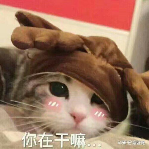  有没有适合谈恋爱的表情包