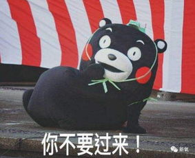  赵丽颖一顿吃8碗米饭想想只吃沙琪玛的郑爽...