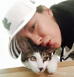  韩星宋智孝晒与猫咪合影网友萌萌哒