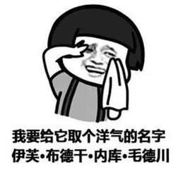  南方回南天搞笑表情包,南方潮湿天气搞笑表情包