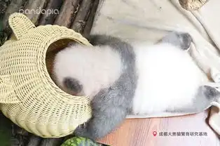  我一见你就笑,你那憨憨表情太美妙