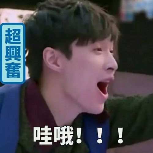 万能表情包英文翻译张艺