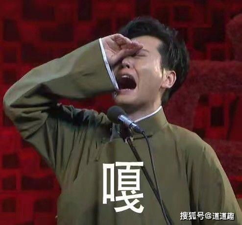  表情包系列第一期30张德云社搞笑图片