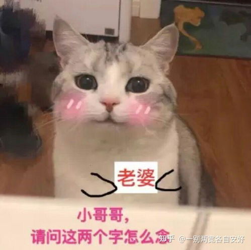  喝多了叫饮酒醉,看对眼了叫确认过眼神,辽宁舰叫无边寂静号有没有类似平凡无奇的词被改编成高大上的词汇