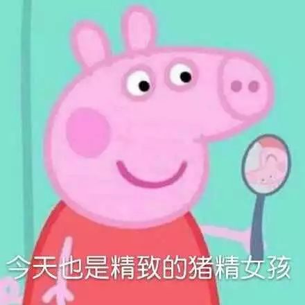 表情包网红小姐姐佩奇