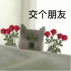  小狗拿刀表情包3小狗拿花拿烤串烤鸡翅烤猪蹄火腿肠冰糖葫芦锤子榔头冰淇淋