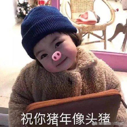  猪年拜年搞笑表情包