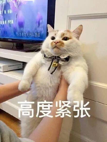  滴打卡花式短学期实践
