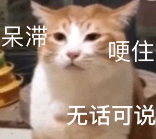  有哪些小姐姐多的约会软件