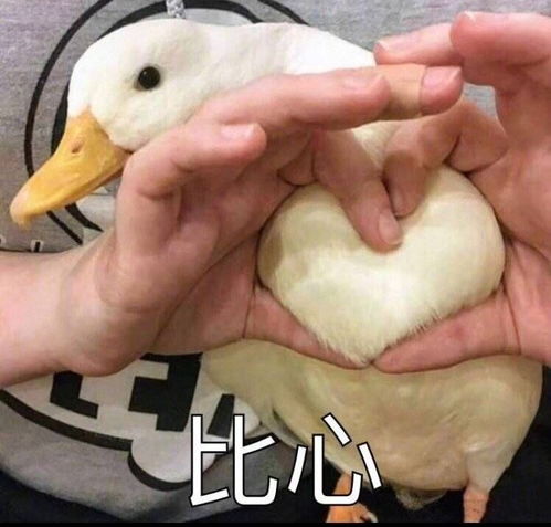  好笑的谐音梗文案