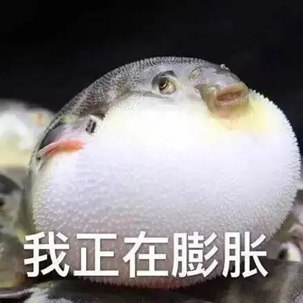  熊猫表情包挑战365天不想你
