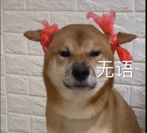 二哈用手指人表情包杰布