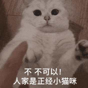  可爱聊天表情包