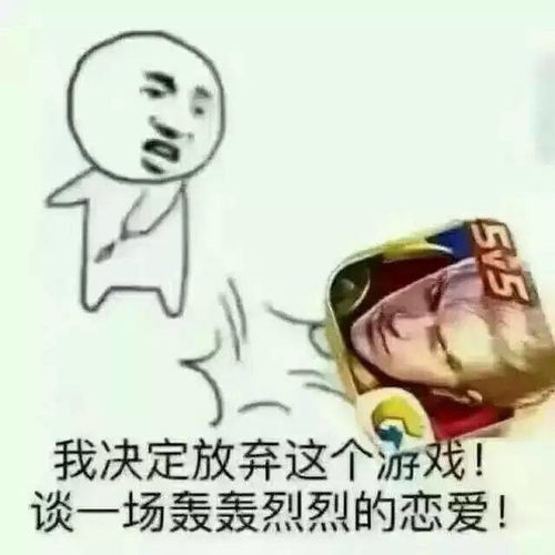  王者荣耀熊猫头系列表情包