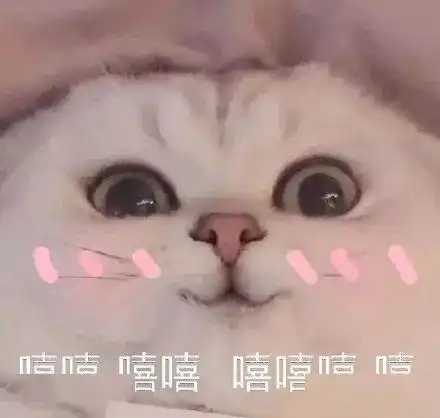  看到lisa的视频,我才知道顶流女团的要求有多高...