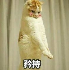  种花有什么好我只想跟你种草莓...