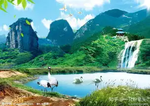 有哪些很中老年人的聊天表情和图片 有哪些很中老年人的聊天表情和图片