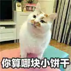  关于表情包