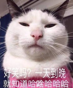  7月25日大黄鸭少帅小海螺公主萌翻卡城