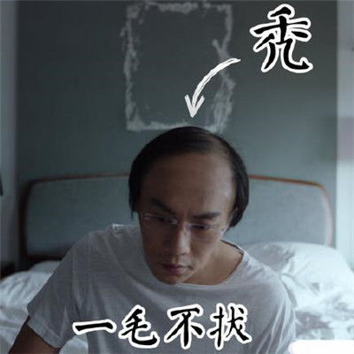  秦昊秃顶表情包合集隐蔽的角落秦昊秃顶表情包