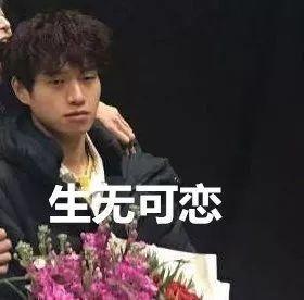 猫的表情包生无可恋魏大