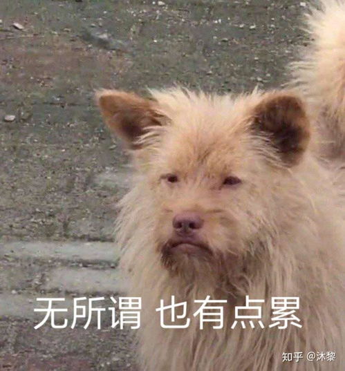  说说你们闻过的最最最最臭的屁的故事