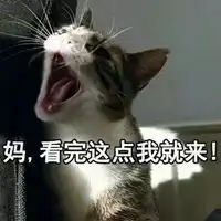 一只猫歪嘴的表情包