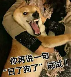  那些年我们一起说的那些网络流行语