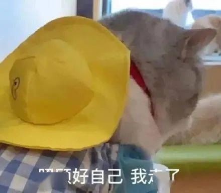  2610气温满减打对折
